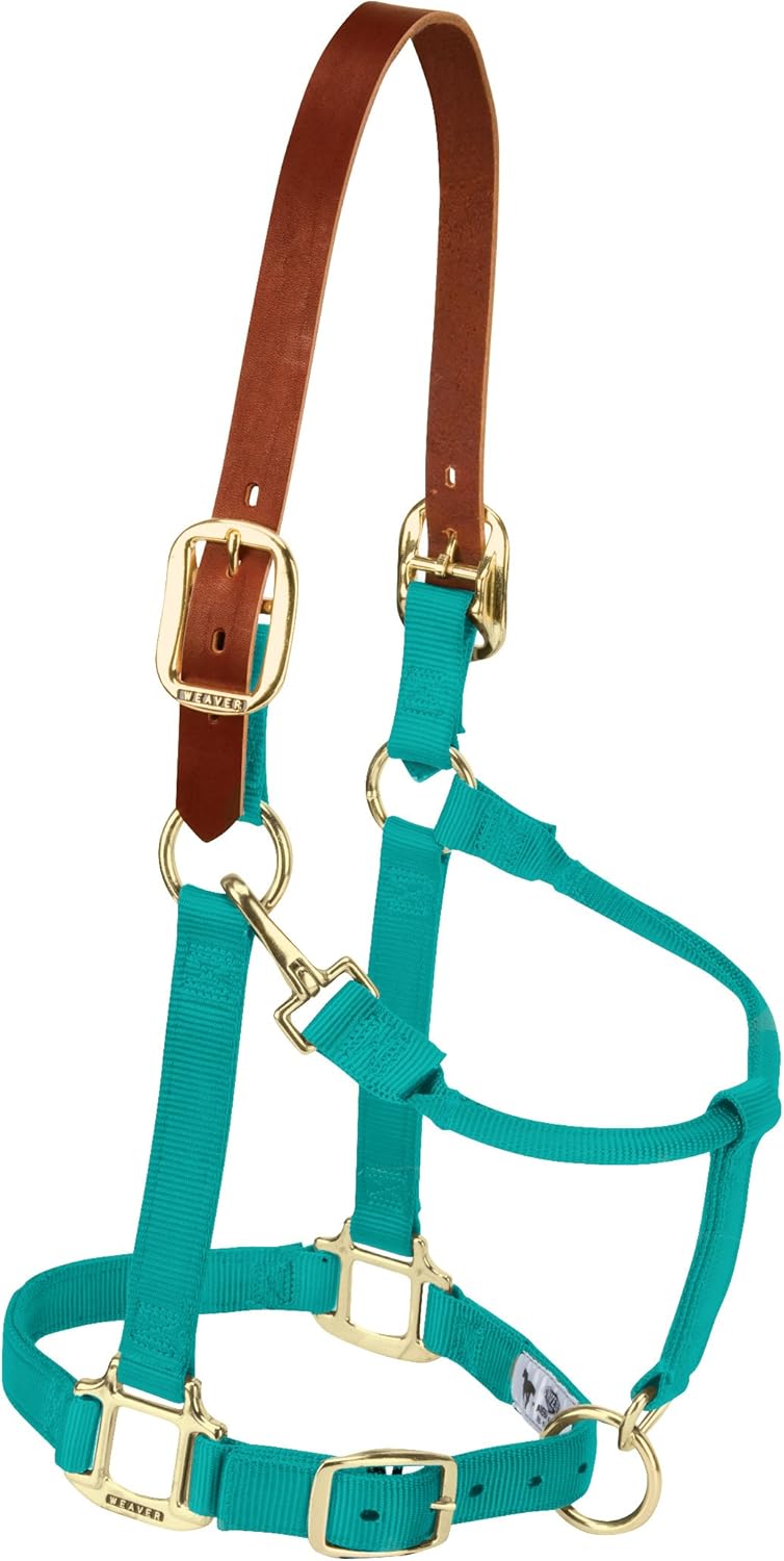 Weaver Equine Nylon Horse Halter, Triple-Ply Cheek Design, Original Non Adjustable Halters for Horses, Equine Tack,Average Size, Black