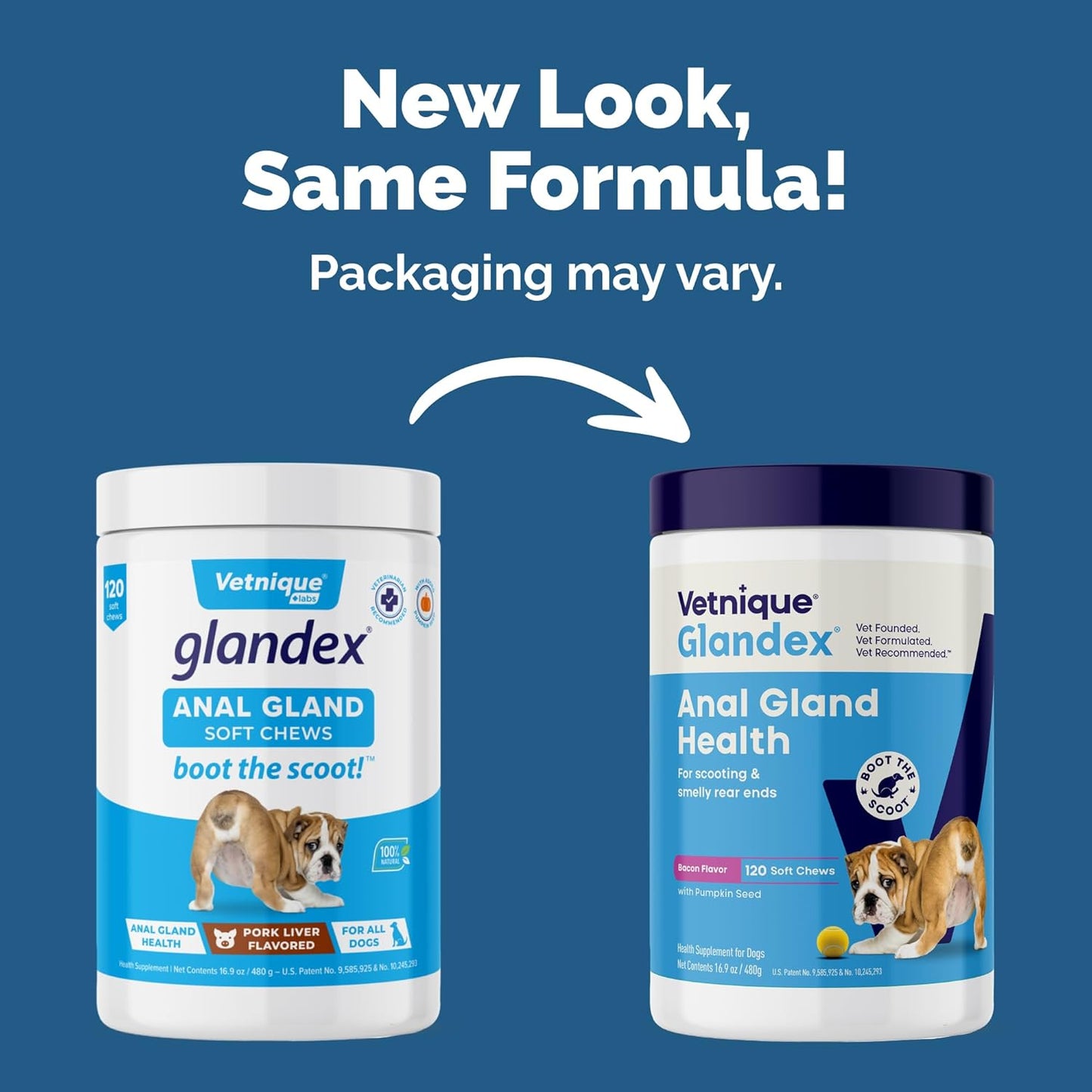 Vetnique Labs Glandex Anal Gland Soft Chew Treats with Pumpkin for Dogs Digestive Enzymes, Probiotics Fiber Supplement for Dogs Boot The Scoot (Bacon Flavor Chews, 120 Count)