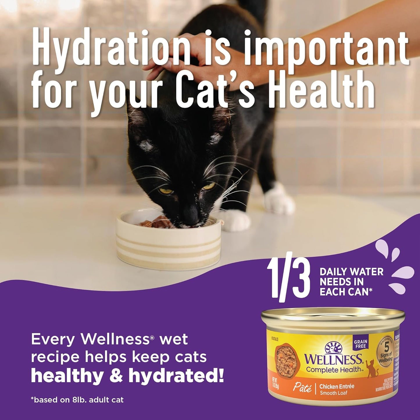 Wellness Complete Health Gravy Adult Wet Cat Food, Natural, Protein-Rich, Grain Free, 5.5 Ounce, 12 Pack, (Turkey Dinner)
