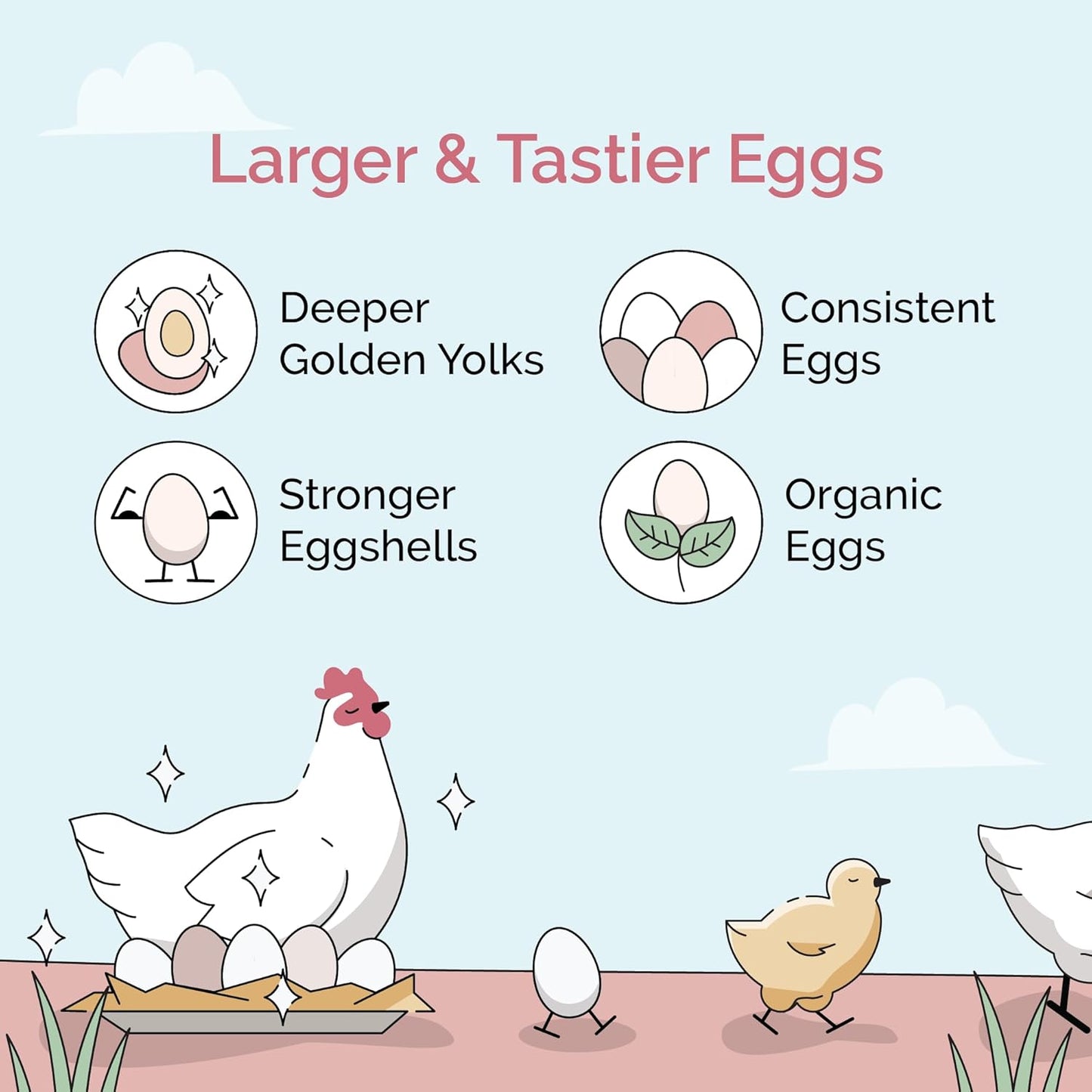Organic Chicken Feed – Layer Whole Grain, Non-GMO, USA Grown, 16% Protein, Corn-Free, Soy-Free, Non-Medicated Feed for Chickens, 23 lbs