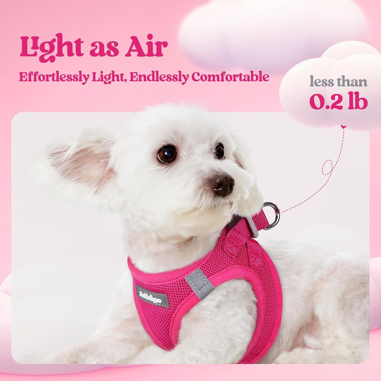 rabbitgoo Dog Harness Small Sized and Leash Set, Step in Soft Light Puppy Vest, Breathable Mesh Pet Harness, Reflective for Safe Easy Walking, Rose Red XS