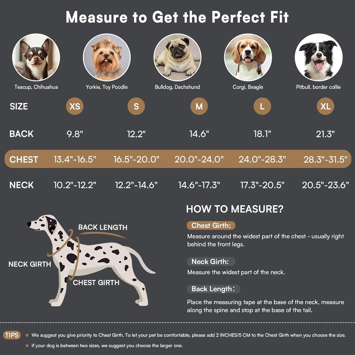 Queenmore Dog Winter Coat Warm Puffer Jacket Waterproof Plush Lining Thermal Cold Weather Vest for Small Medium Large Dogs, Windproof Easy On Pet Jacket Yellow S