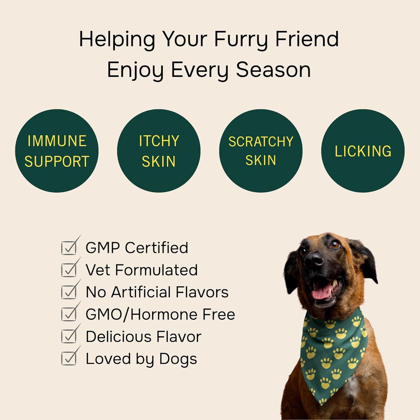 PetMeds Allergy Supplement for Dogs - Vitamins for Allergy Relief with Postbiotics, Colostrum, Quercetin & Turmeric for Dogs Itchy Skin & Scratching - Beef & Sweet Potato Flavor - 60 Soft Chews