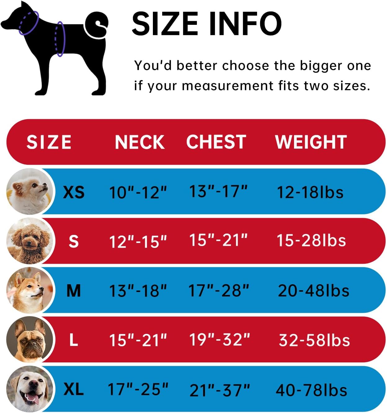 IVY&LANE No Pull Dog Harness for Large Dogs, Dog Vest Harness with Leash, Safety Belt and Storage Strap, Fully Adjustable Harness, 360° Reflective Strip, Soft Handle (Red, L)