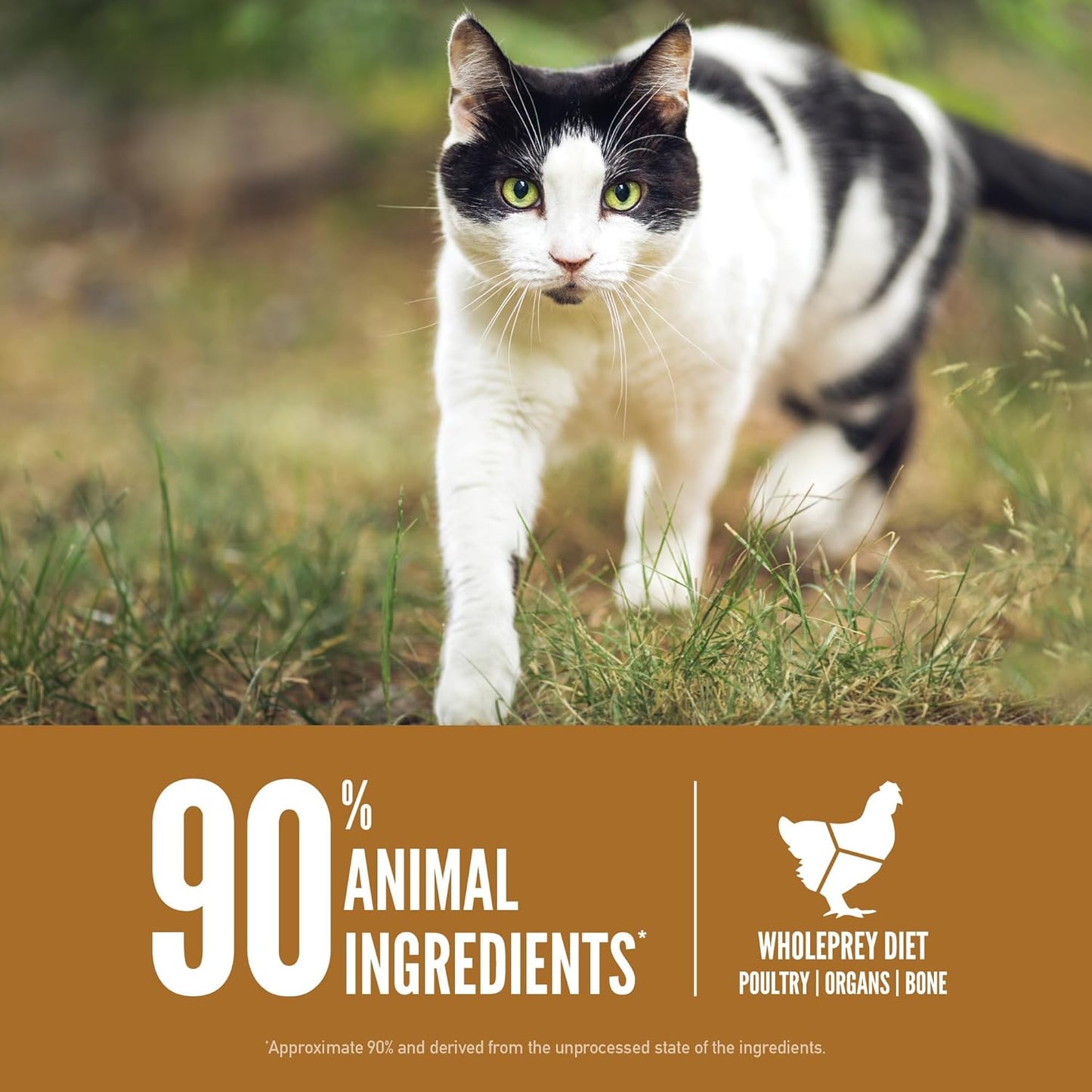 ORIJEN Grain Free High Protein Premium Dry Cat Food Original Recipe 12lb Bag