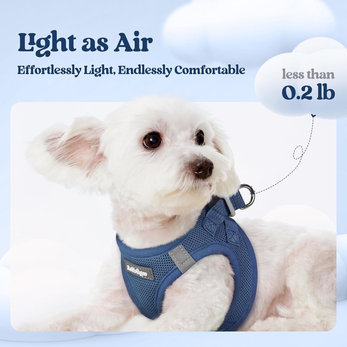 rabbitgoo Dog Harness Small Sized and Leash Set, Step in Soft Light Puppy Vest, Breathable Mesh Pet Harness, Reflective for Outdoor Safe Walking, Navy Blue XXL