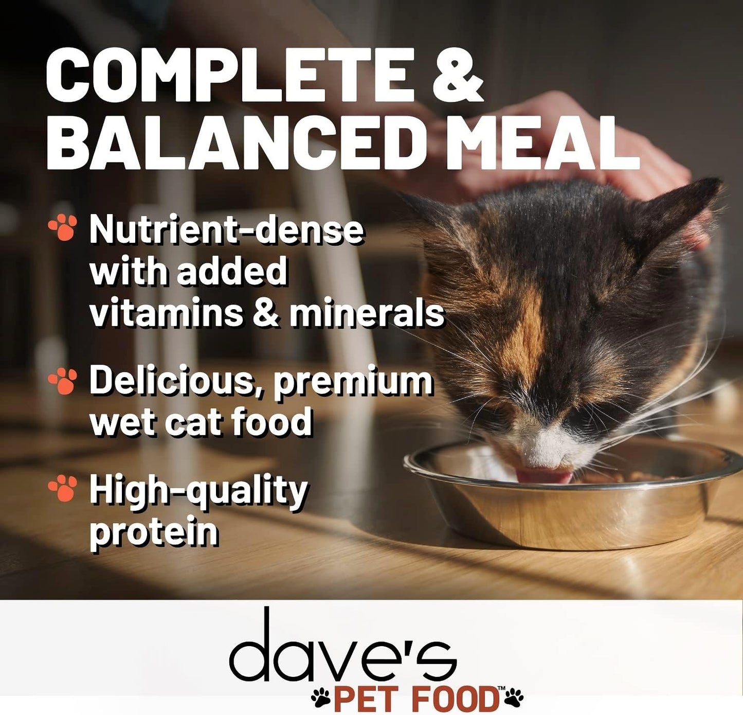 Dave's Pet Food Grain Free Wet Cat Food (Shredded Chicken in Gravy), Made in Canada Naturally Healthy Canned Cat Food, 13.2 oz (12 Pack)