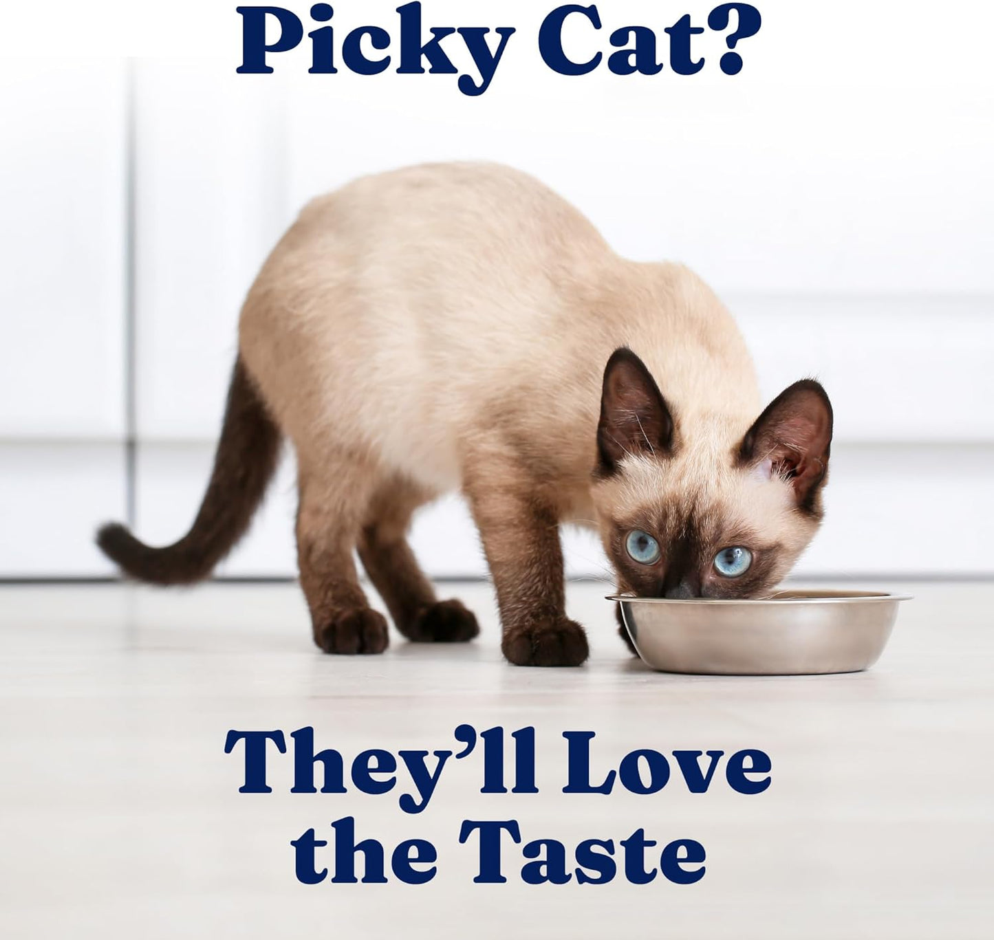 Five Oceans Solid Gold Wet Cat Food Shreds in Gravy - 3 Count Sample Pack - Real Tuna & Mackerel Cat Food for All Ages - Grain Free, Sensitive Stomach