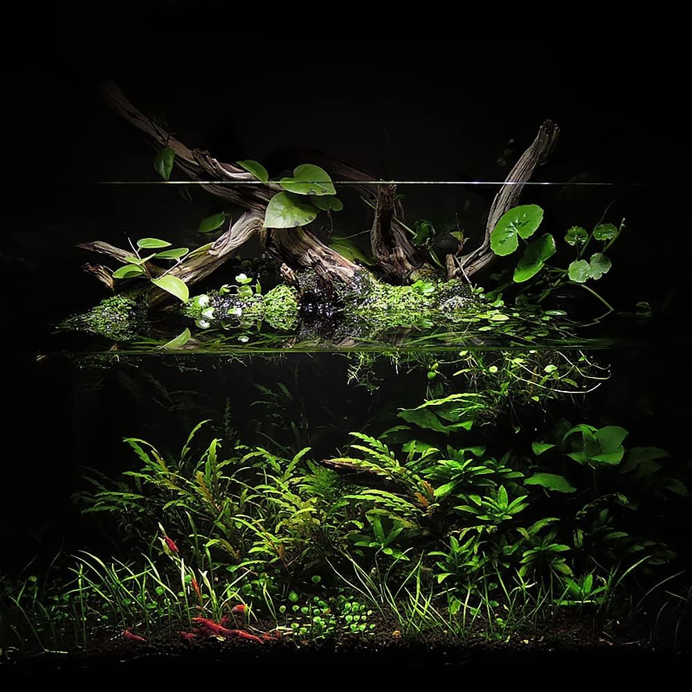 Ultum Nature Systems Controsoil - Freshwater Aqua Soil Substrate for Fish, Shrimp, Live Plant Propagation and Aquascaping - 6.8pH Low Ammonia, Volcanic Ash - Black, Normal (3 Liter | 6LB)