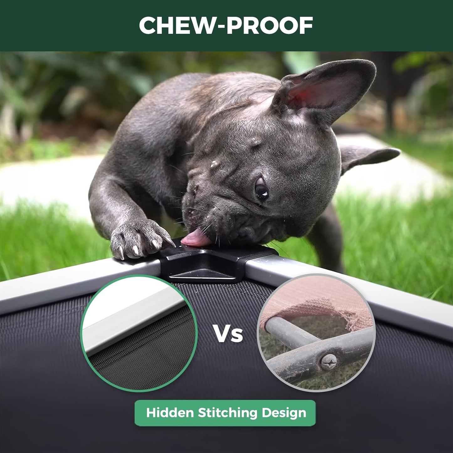 FXW TitanNest Chew-Proof Elevated Dog Bed, Raised Cot for Indoor/Outdoor/Camping Use, Durable & Waterproof Cooling Pet Bed for Medium Dogs, 42.0" L x 27.0" W x 5.0" H, Black