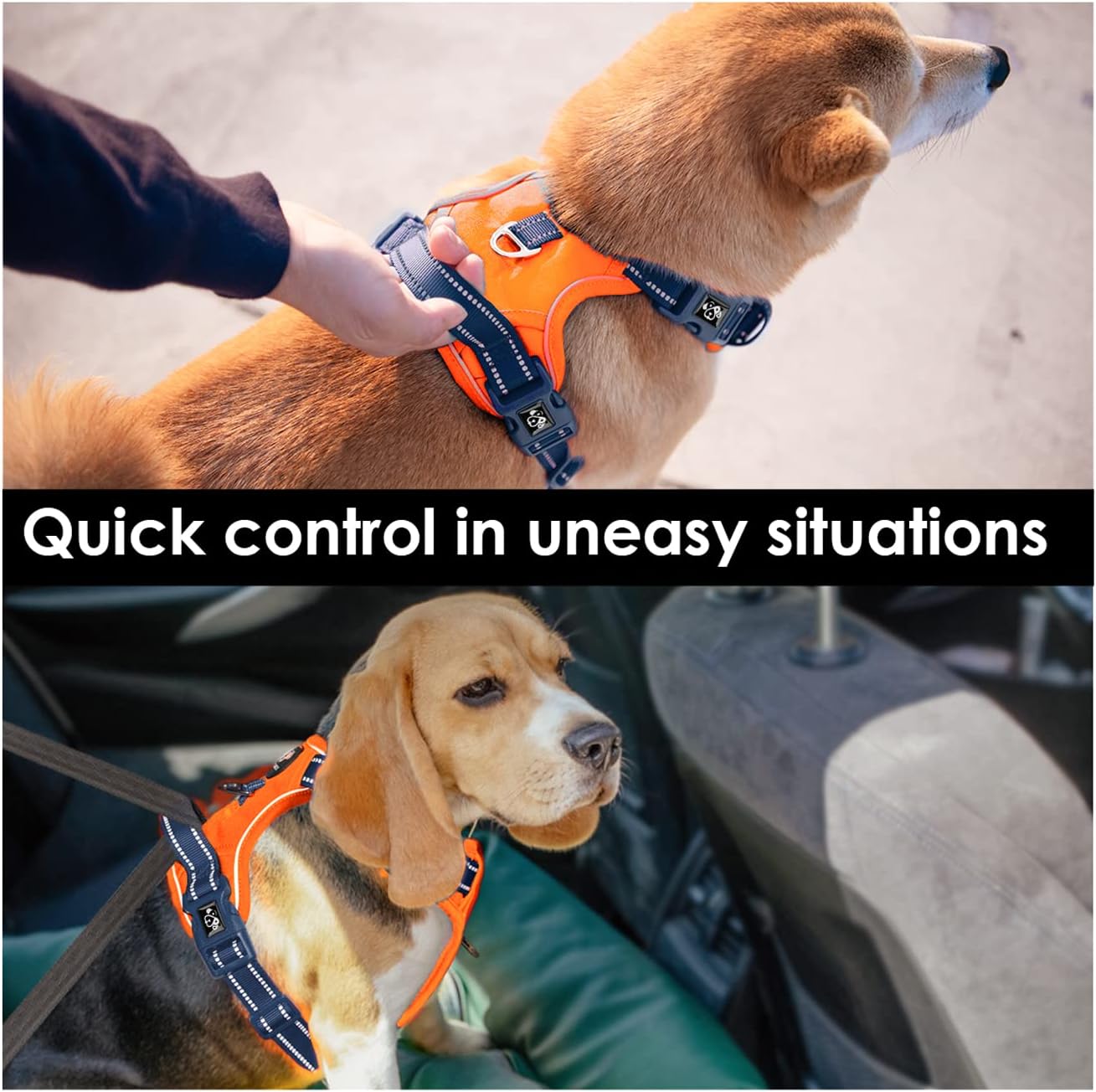 PHOEPET No Pull Dog Harness, Unique Colors Reflective Adjustable Dog Vest, with Soft Training Handle Metal Clips for Small Medium Large Dogs (Orange Base & Blue Straps,XL)