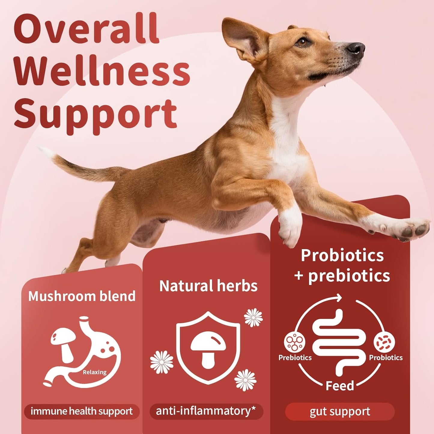 Dog Allergy Chews, Probiotics for Dog Allergy Relief - Itchy Skin and Itchy Ears - Allergy Paw Relief - Seasonal Allergies & Immune Gut Health & Joint, Energy Support, Chicken Flavor - 90 Count