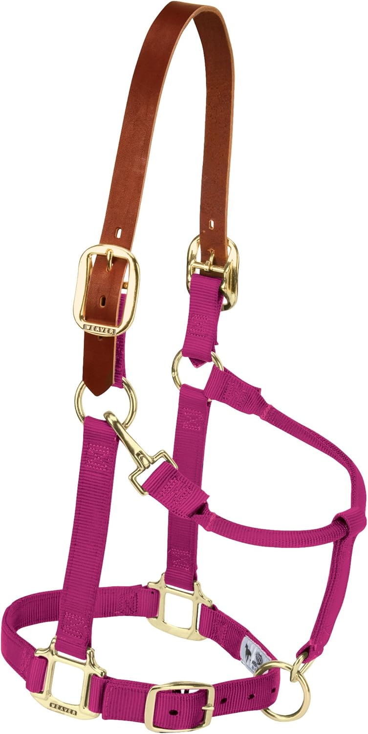 Weaver Equine Nylon Horse Halter, Triple-Ply Cheek Design, Original Non Adjustable Halters for Horses, Equine Tack,Average Size, Black