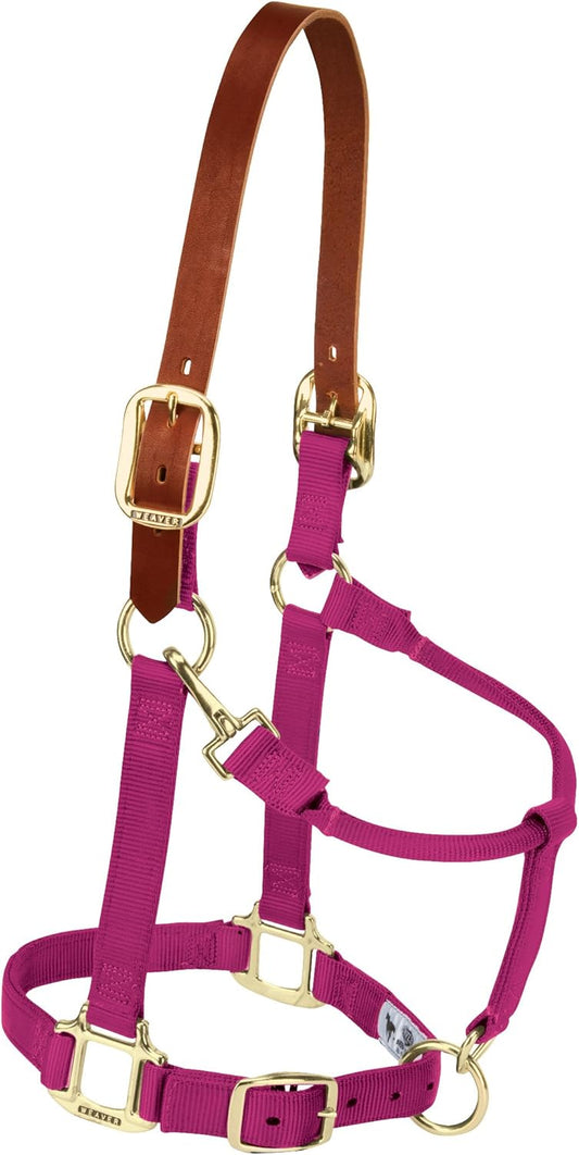 Weaver Equine Nylon Horse Halter, Triple-Ply Cheek Design, Original Non Adjustable Halters for Horses, Equine Tack,Average Size, Black