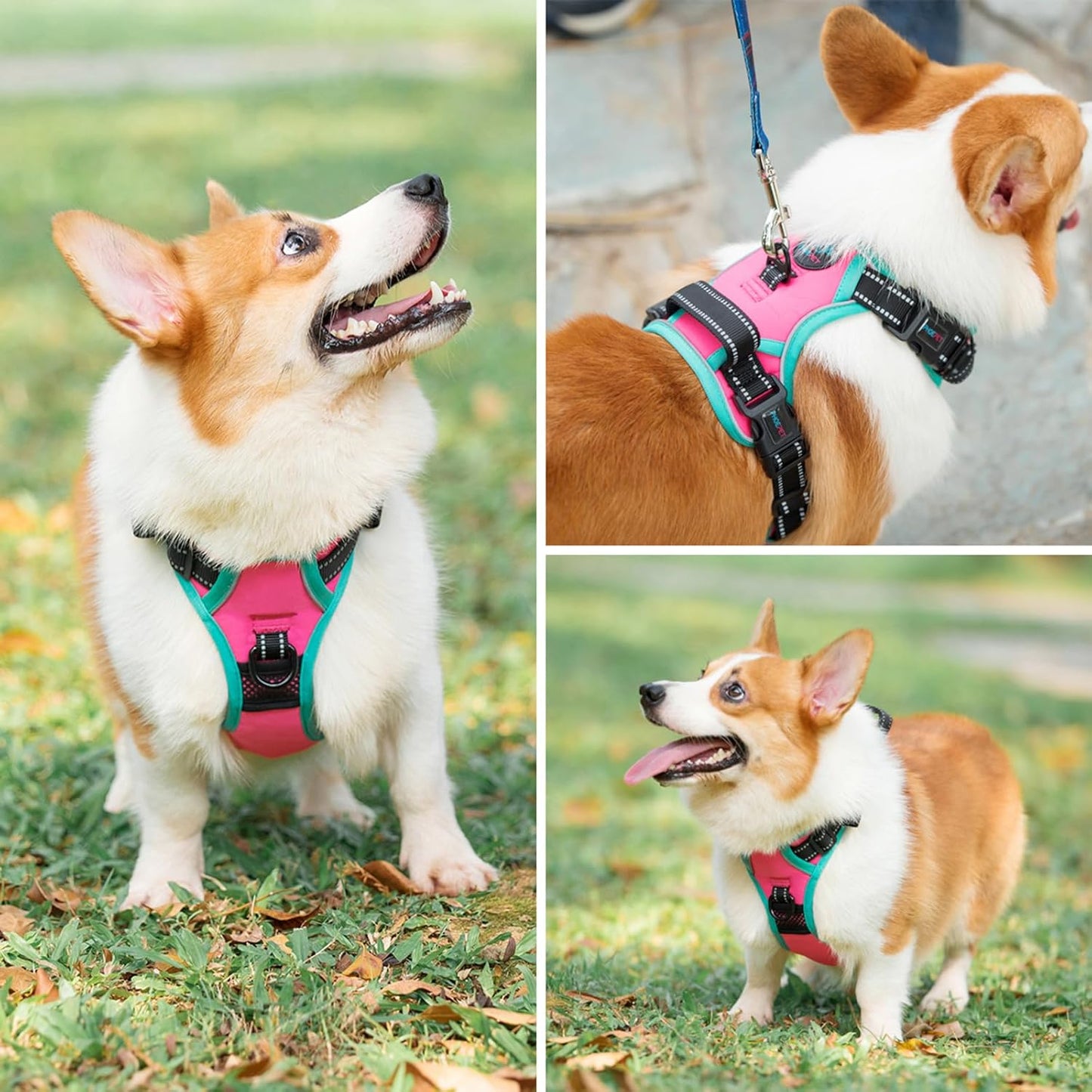 PHOEPET 2019 Upgraded No Pull Dog Harness, Reflective Adjustable Vest, with a Training Handle + 2 Metal Leash Hooks+ 3 Snap Buckles +4 Slide Buckles(M, Pink)