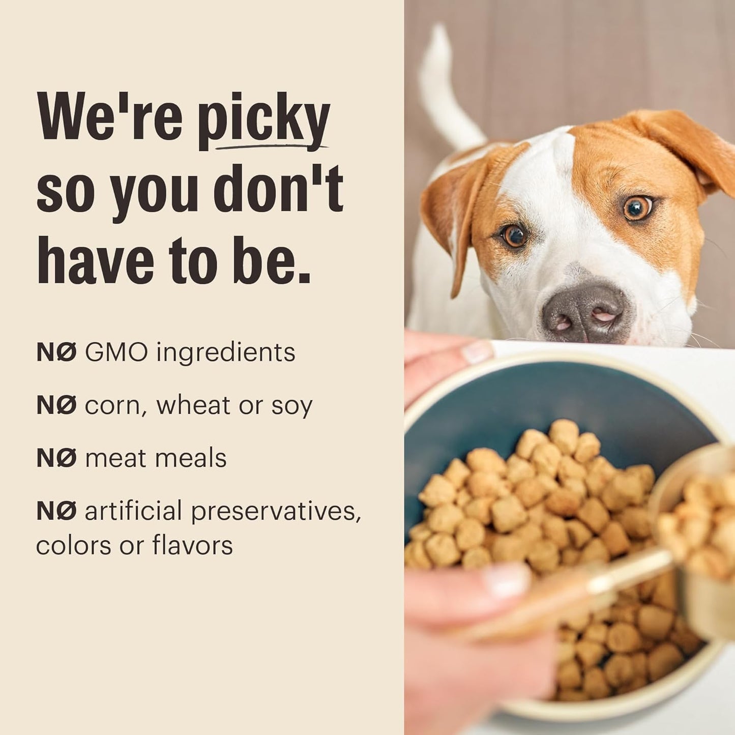 The Honest Kitchen Whole Food Clusters Grain Free Chicken Dry Dog Food, 5 lb Bag