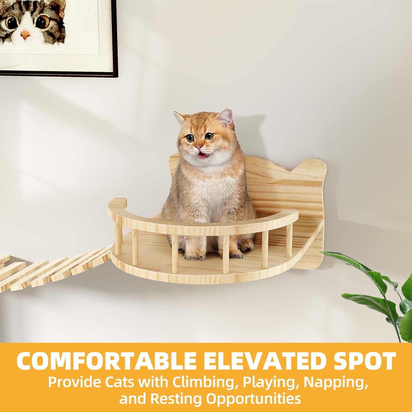 Cat Wall Shelves, Cat Wall Furniture Pine Wooden Feline Shelf, 16 Piece Feline Shelves and Perches with Condos, House, Steps, Bridge Ladder, Scratching Post and Tunnel