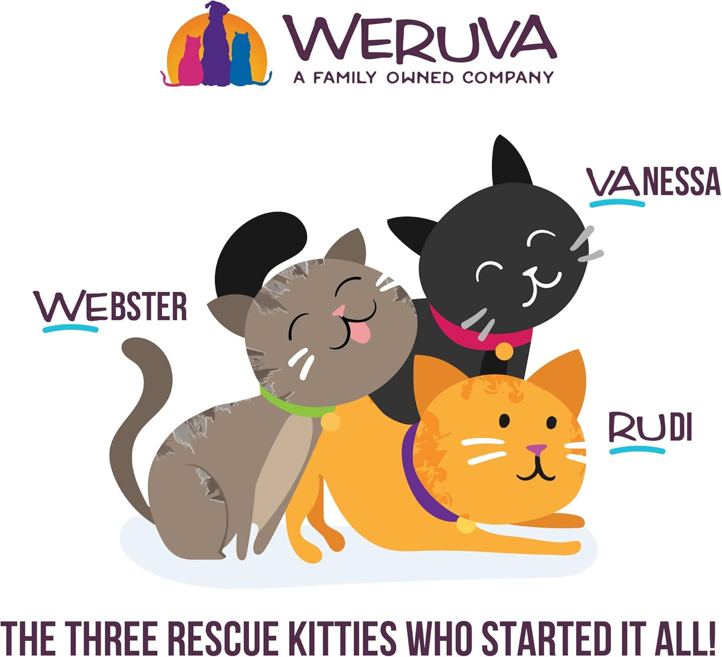 Weruva B.F.F. Play - Best Feline Friend Paté Lovers, Aw Yeah!, Duck & Tuna Trickster with Duck & Tuna, 2.8oz Can (Pack of 12)