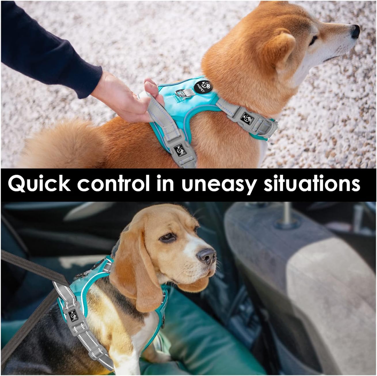 PHOEPET No Pull Dog Harness, Unique Colors Reflective Adjustable Dog Vest, with Soft Training Handle Metal Clips for Small Medium Large Dogs (Mint Green Base & Grey Straps,XL)
