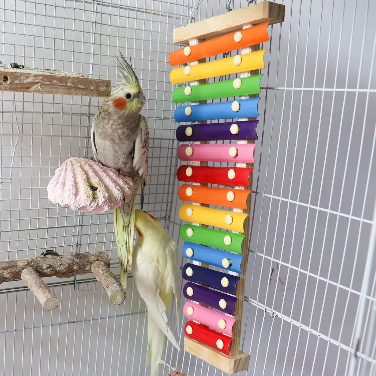 Dnoifne Large Colorful Bird Xylophone, Suspensible Funny Xylophone with 15 Metal Keys, Parrot Parakeet Budgies Love Birds Cage Toy Accessories