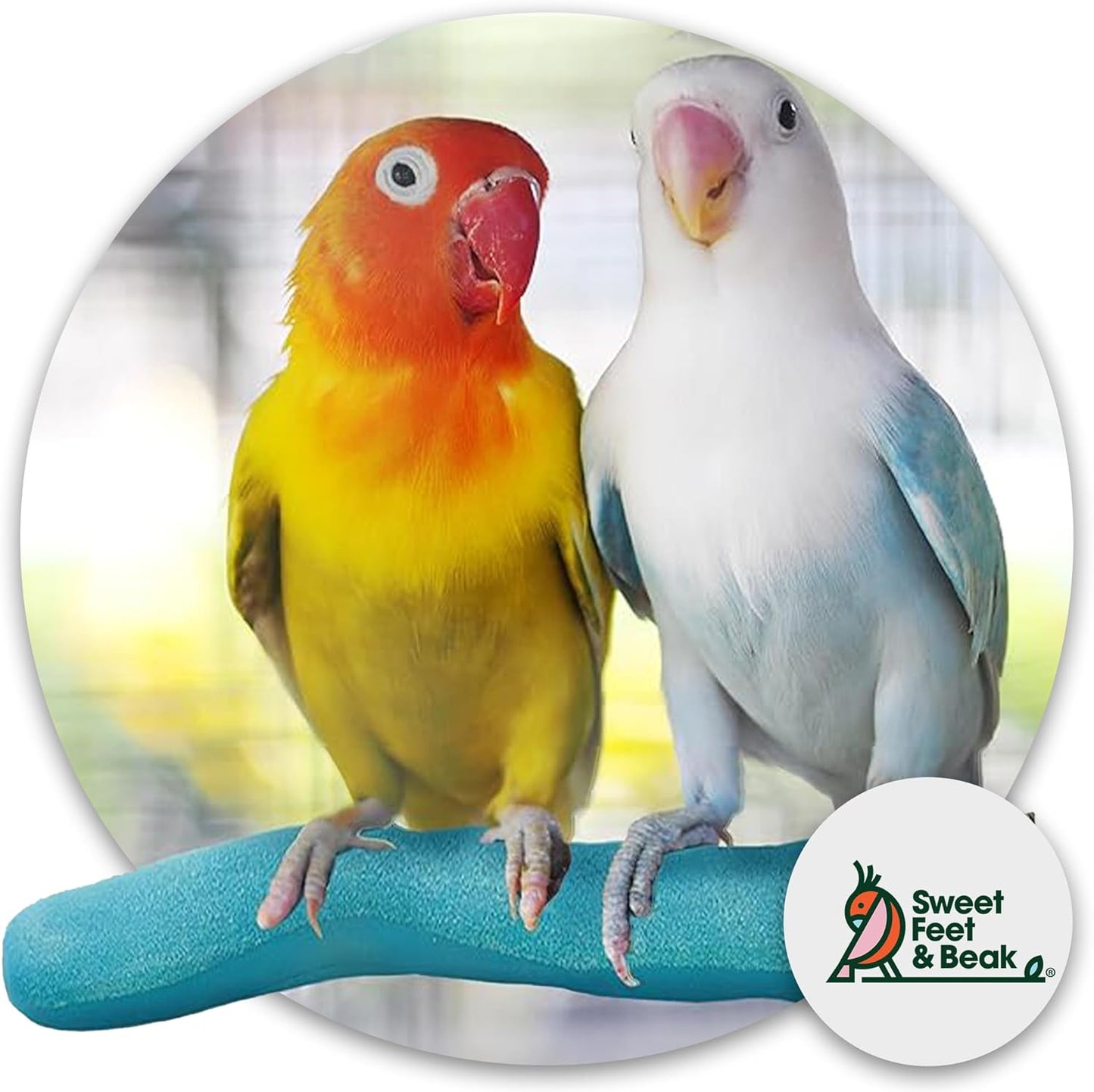 Sweet Feet & Beak Safety Pumice Bird Perch, X-Small 1/2" X 6", Purple - Lightweight Grinding Bird Perches for Cage - Bird Nail Trimming Perch for Healthy Beak & Feet - Multi-Size & Color Parrot Stand