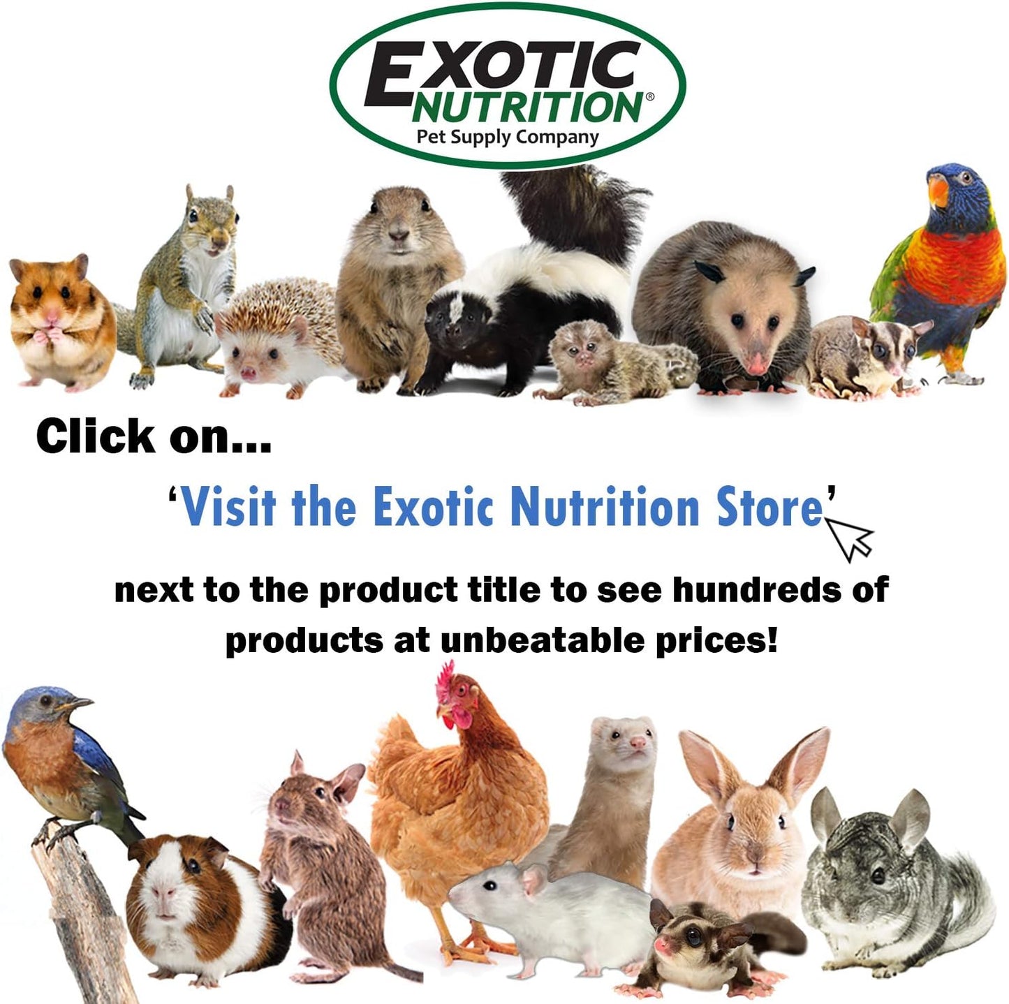Canned Caterpillars (1.2 oz.) - Healthy High Protein Insect Treat - Hedgehogs, Sugar Gliders, Reptiles, Wild Birds, Chickens, Lizards, Bearded Dragons, Skunks, Opossums, Fish, Amphibians, Turtles