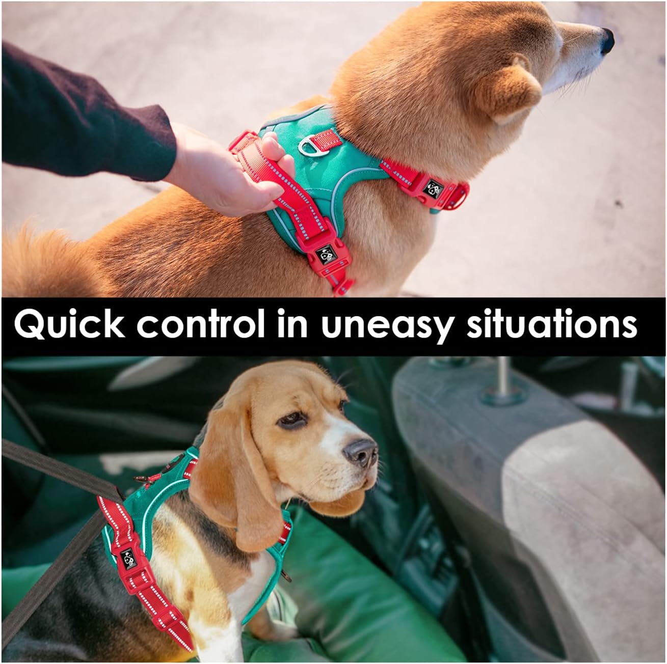 PHOEPET No Pull Dog Harness, Unique Colors Reflective Adjustable Dog Vest, with Soft Training Handle Metal Clips for Small Medium Large Dogs (Dark Green Base & Red Straps,S)