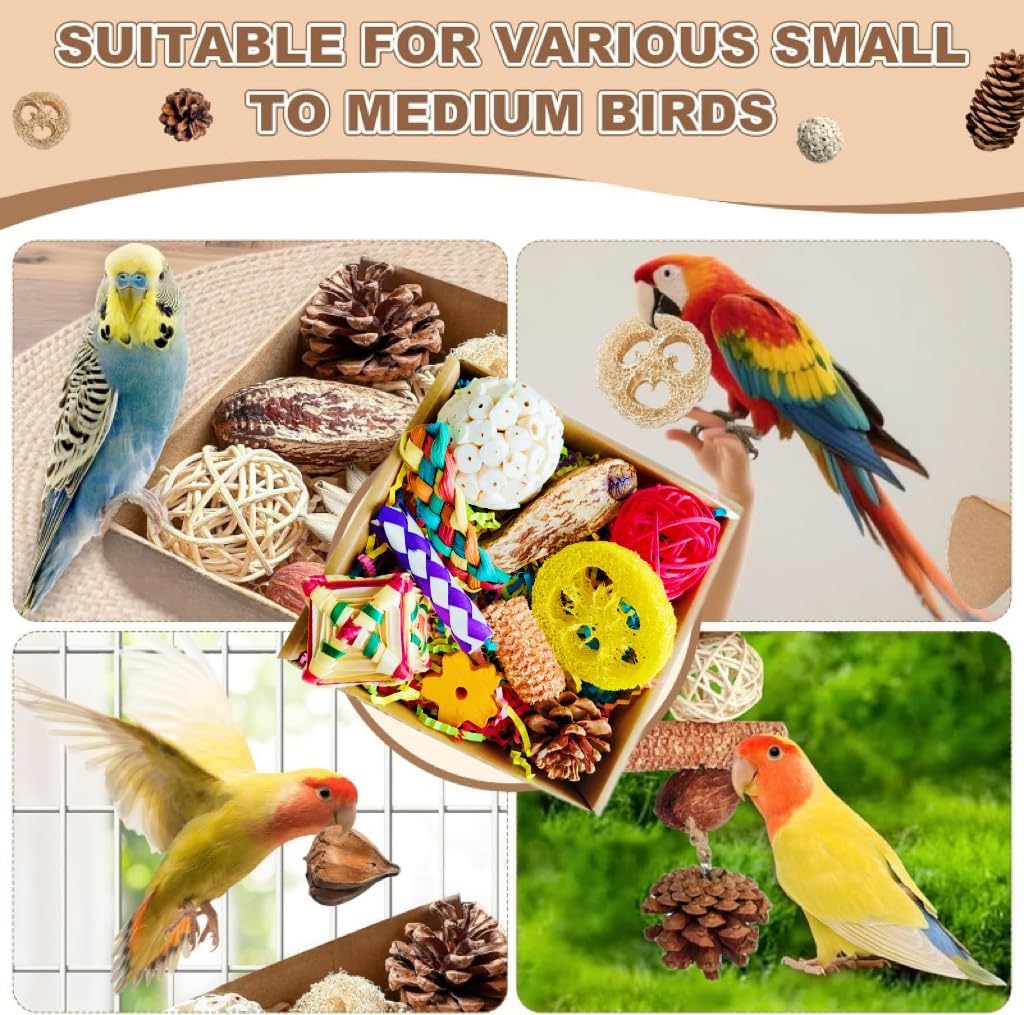 2 in 1 Parrot Toys, Tyotrbs Parakeet Foraging Box DIY Hanging String with Comes with 2 Hooks Bird Toy for Parakeets,Cockatiels,Conures,Love Birds Cage Accessories for Small to Medium Birds (Colorful)