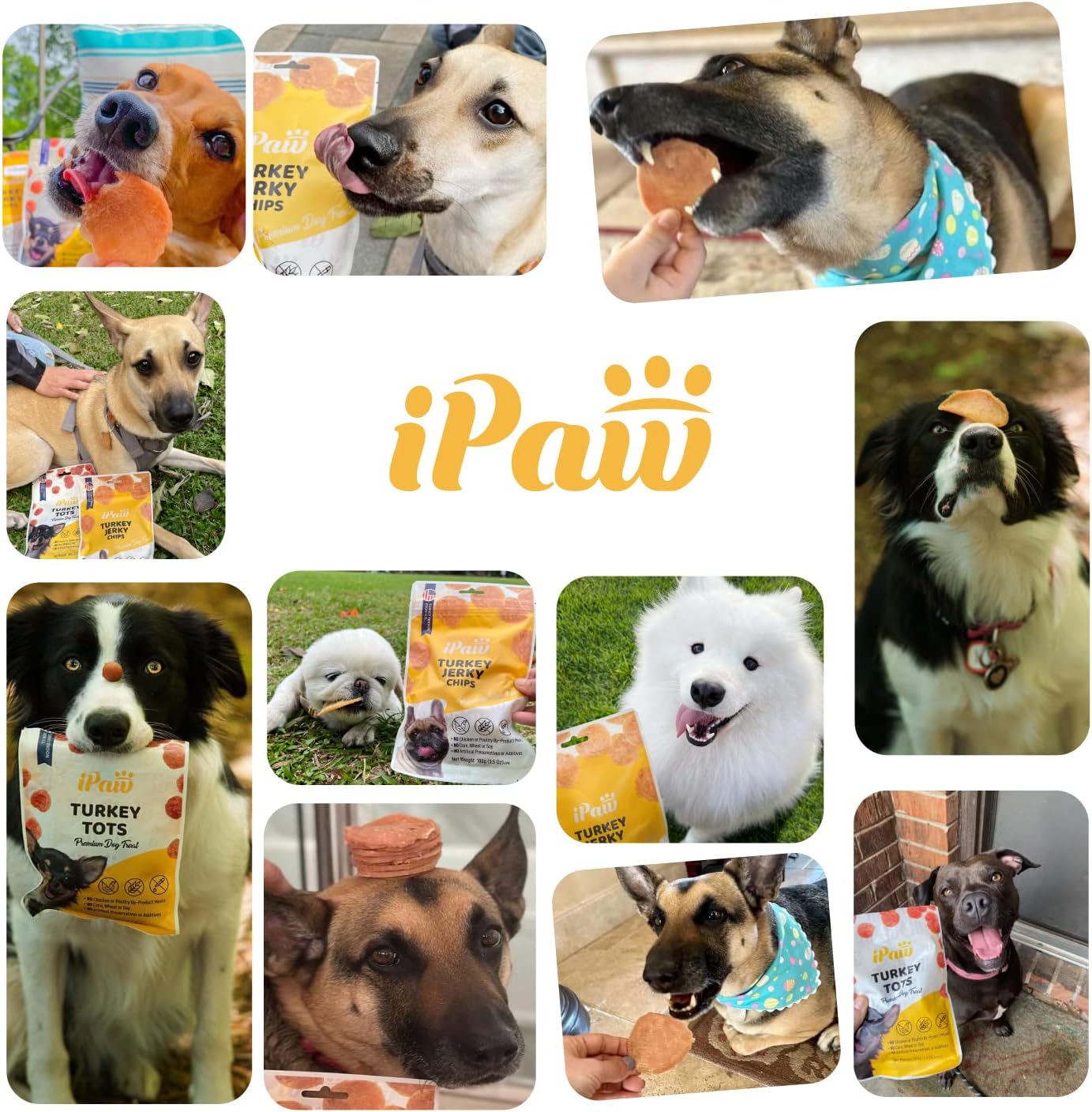 iPaw Turkey Tots Dog Treats for Puppy Training, All Natural Human Grade Dog Treat, US Sourced Raw Material, Hypoallergenic, Easy to Digest (Turkey Tots), 2 Packs