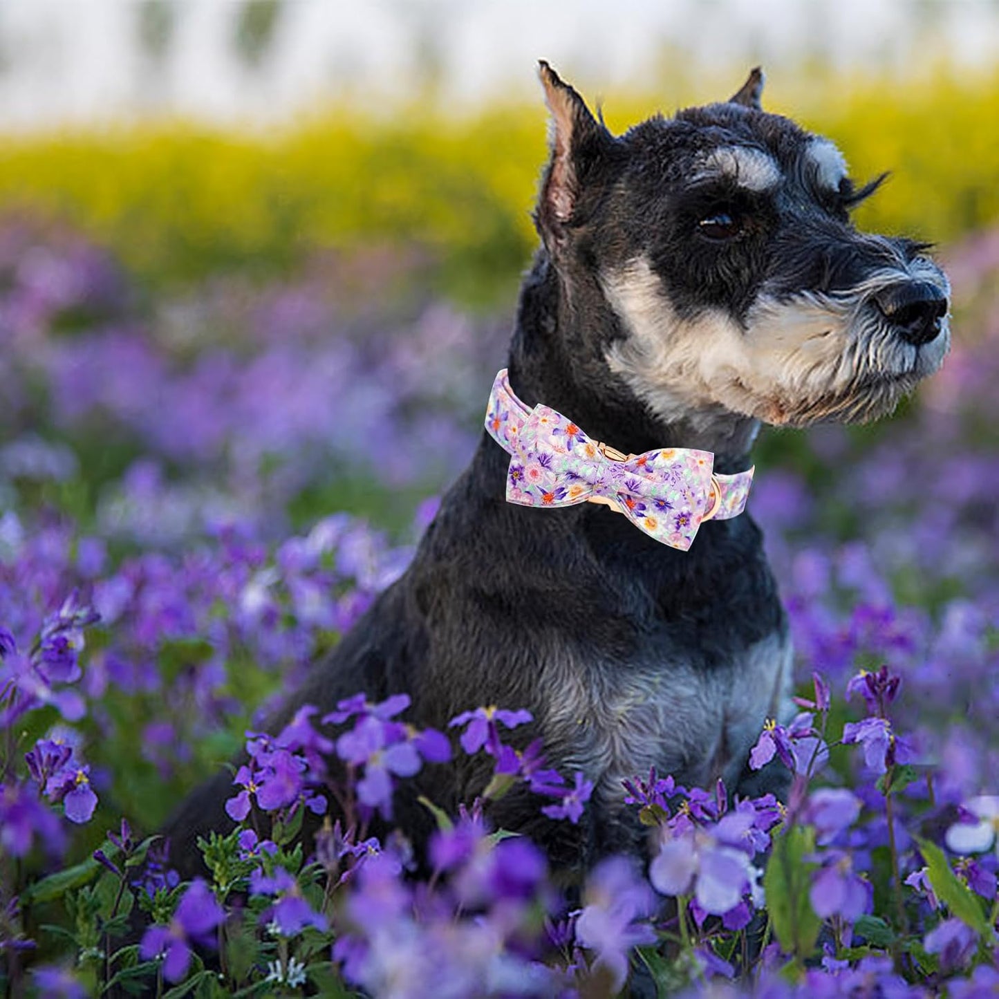 Elegant little tail Dog Collar, Rose Print Pet Collar Summer Dog Collar Durable Metal Buckle Dog Collars Cotton Pet Adjustable Dog Collars for Medium Dogs