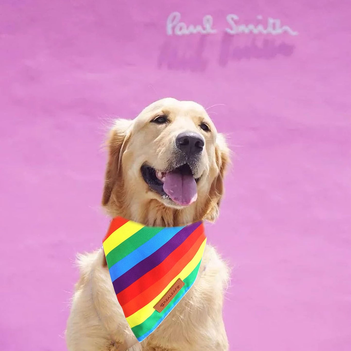 Realeaf Pride Dog Bandanas 2 Pack, LGBT LGBT+ Rainbow Scarves Bibs for Dogs, Premium Durable Fabric, Triangle Reversible Bandana for Small Medium Large and Extra Large Dogs Pets (Pride Day, X-Large)