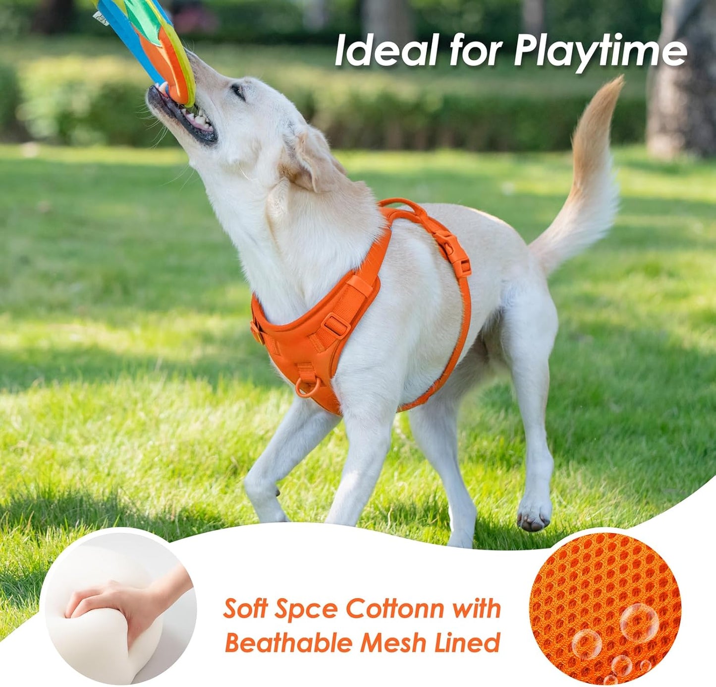 No Pull Dog Harness, Puppy Vest with Front Clip for Small Medium Large Sized Dog(Orange,L)