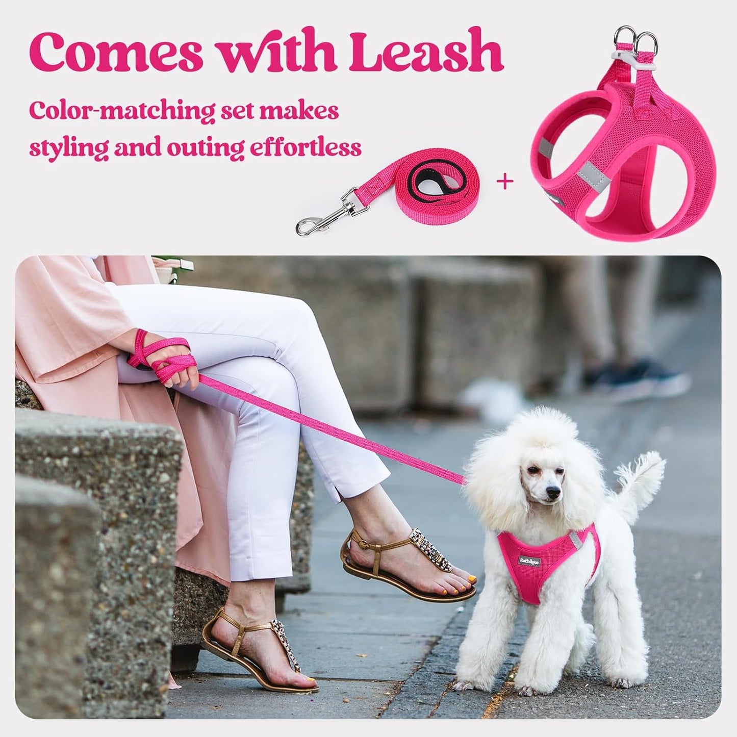 rabbitgoo Dog Harness Small Sized and Leash Set, Step in Soft Light Puppy Vest, Breathable Mesh Pet Harness, Reflective for Safe Easy Walking, Rosa Red XXXS