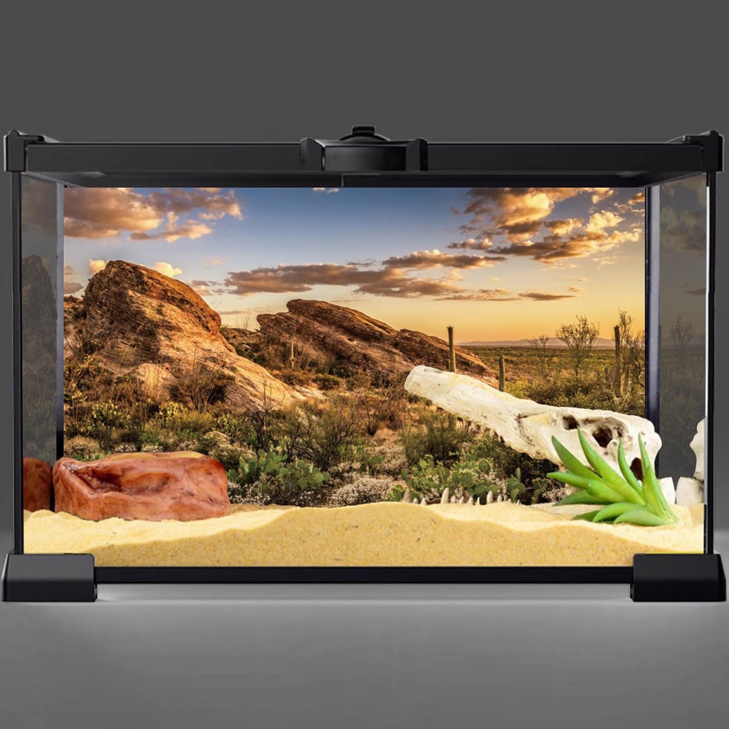 AWERT Reptile Habitat Background Blue Sky Oasis Cactus Sun and Desert Terrarium Background 24x12 inches Durable Polyester Background