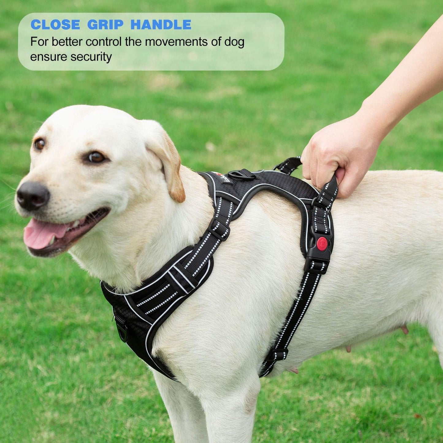 No Pull Dog Harness Adjustable Reflective Oxford Easy Control Medium Large Dog Harness with A Free Heavy Duty 5ft Dog Leash (XL (Neck: 21.5"-33", Chest: 30"-39.5"), Pink Harness+Leash)