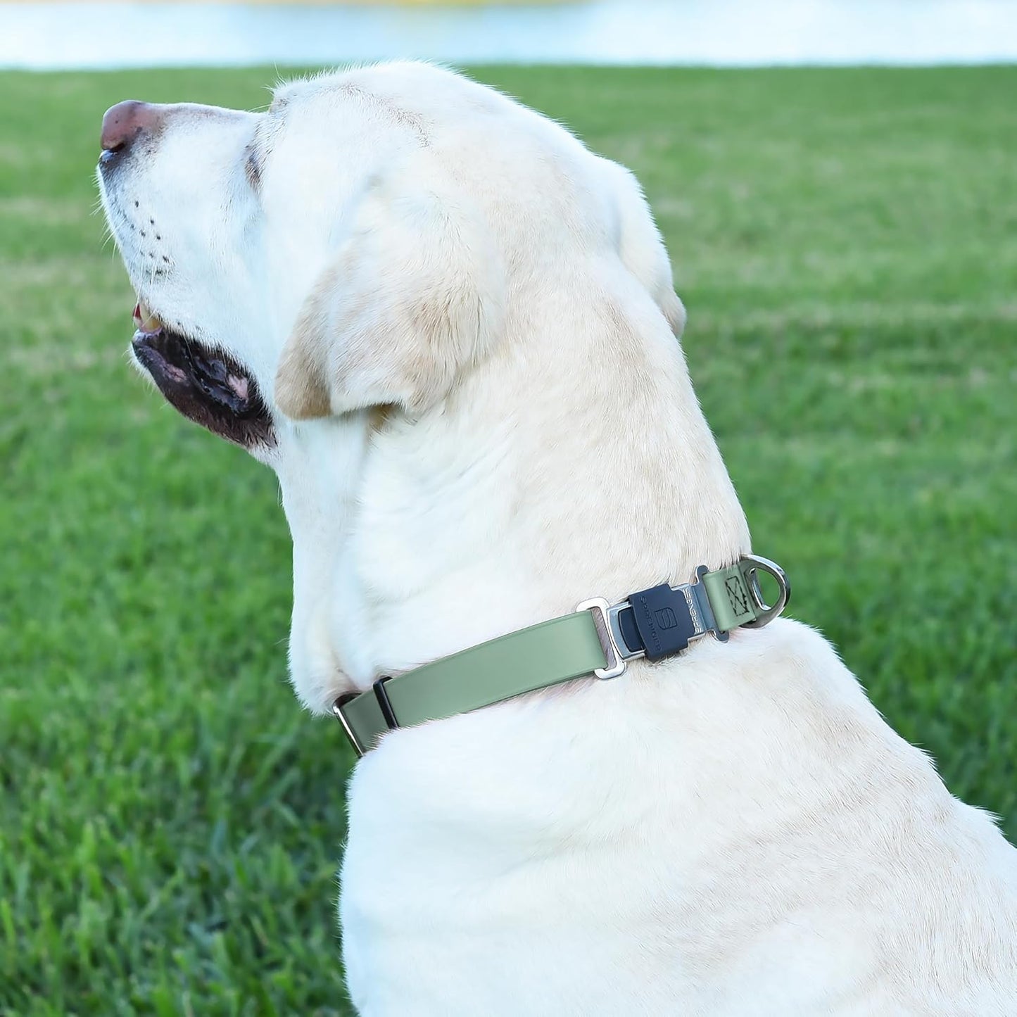 Dogline Biothane Waterproof Dog Collar with Herm Sprenger Stainless Steel Quick Release Buckle – Heavy Duty Tactical Durable Collar for Dogs – Comfortable and Safe Pet Collar, W 1" L 15-25" Sage Green