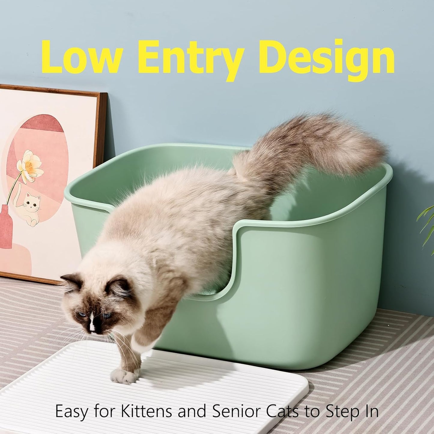 SpaceTime Extra Large Litter Box with High Sides,XL Low Entry Multi Cat Litter Pan for Kittens,Jumbo Litter Boxes for Big Cats,Anti-Splashing Cat Boxes for Indoor Cats,Open Top,Easy to Clean (Black)