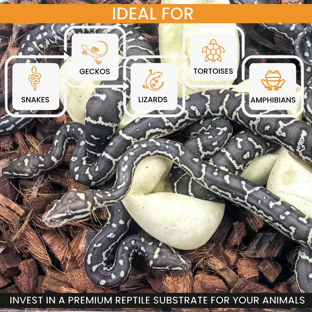 ReptiChip Reptile Bedding Loose Coconut Chip 36 Quart 2 Pack Coco Husk Substrate Mulch for Snake Habitat, Ball Python Terrarium, Turtle Tanks, Tortoise Enclosure