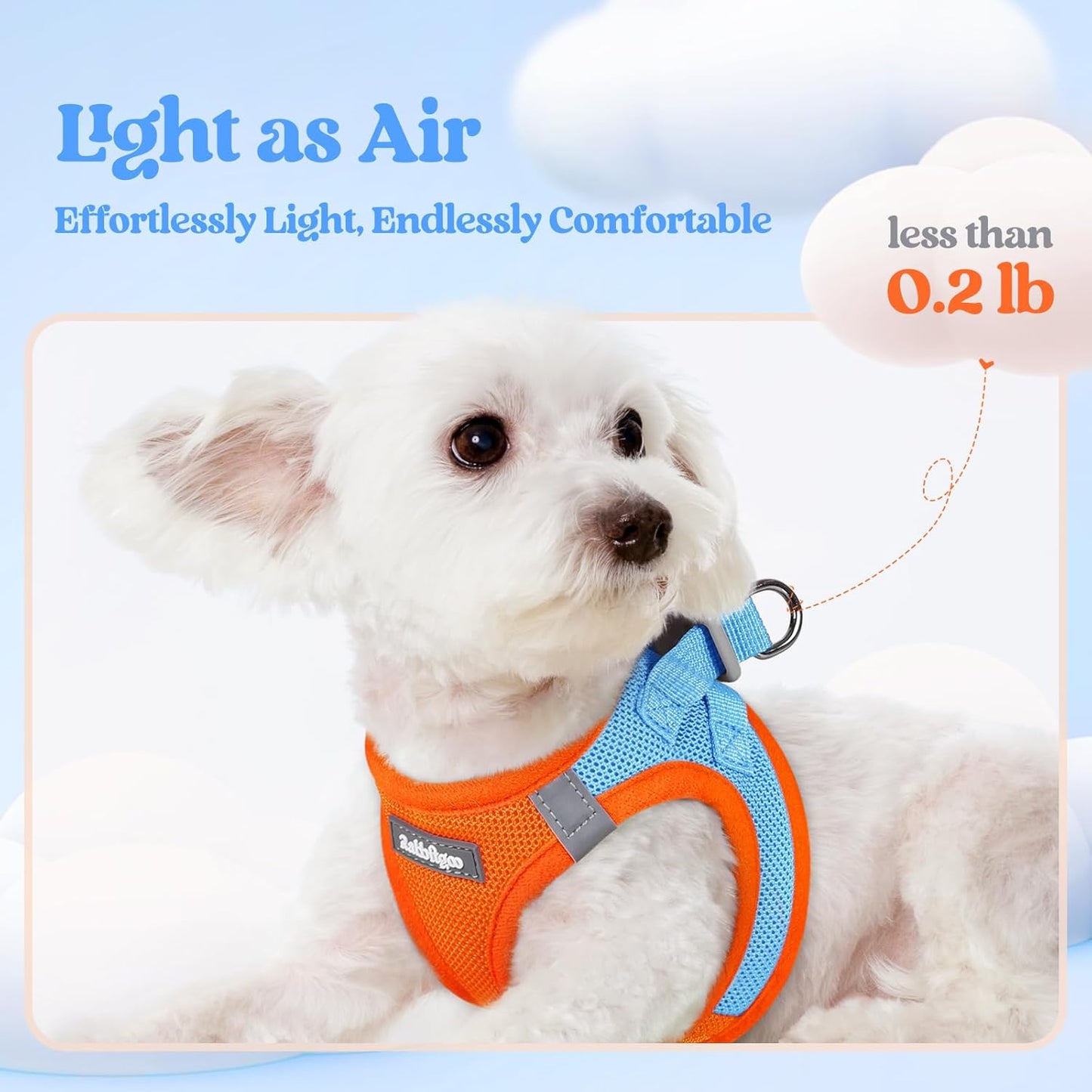 rabbitgoo Dog Harness Small Sized and Leash Set, Step in Soft Light Puppy Vest, Breathable Mesh Pet Harness, Reflective for Safe Easy Walking, Blue & Orange XS
