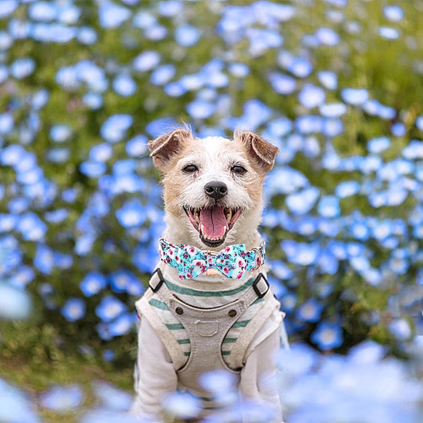 Elegant little tail Dog Collar, Rose Print Pet Collar Summer Dog Collar Durable Metal Buckle Dog Collars Cotton Pet Adjustable Dog Collars for Medium Dogs