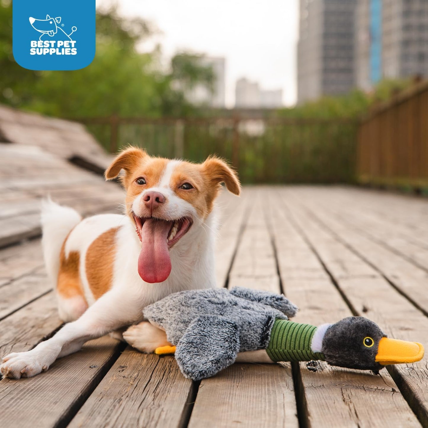 Best Pet Supplies Interactive Squeaky Dog Chew Toy, Ideal Dog Toys for Chewers, Small, Medium & Large Dogs, and Fetch Lovers - Mallard Duck Wing (Gray), Large