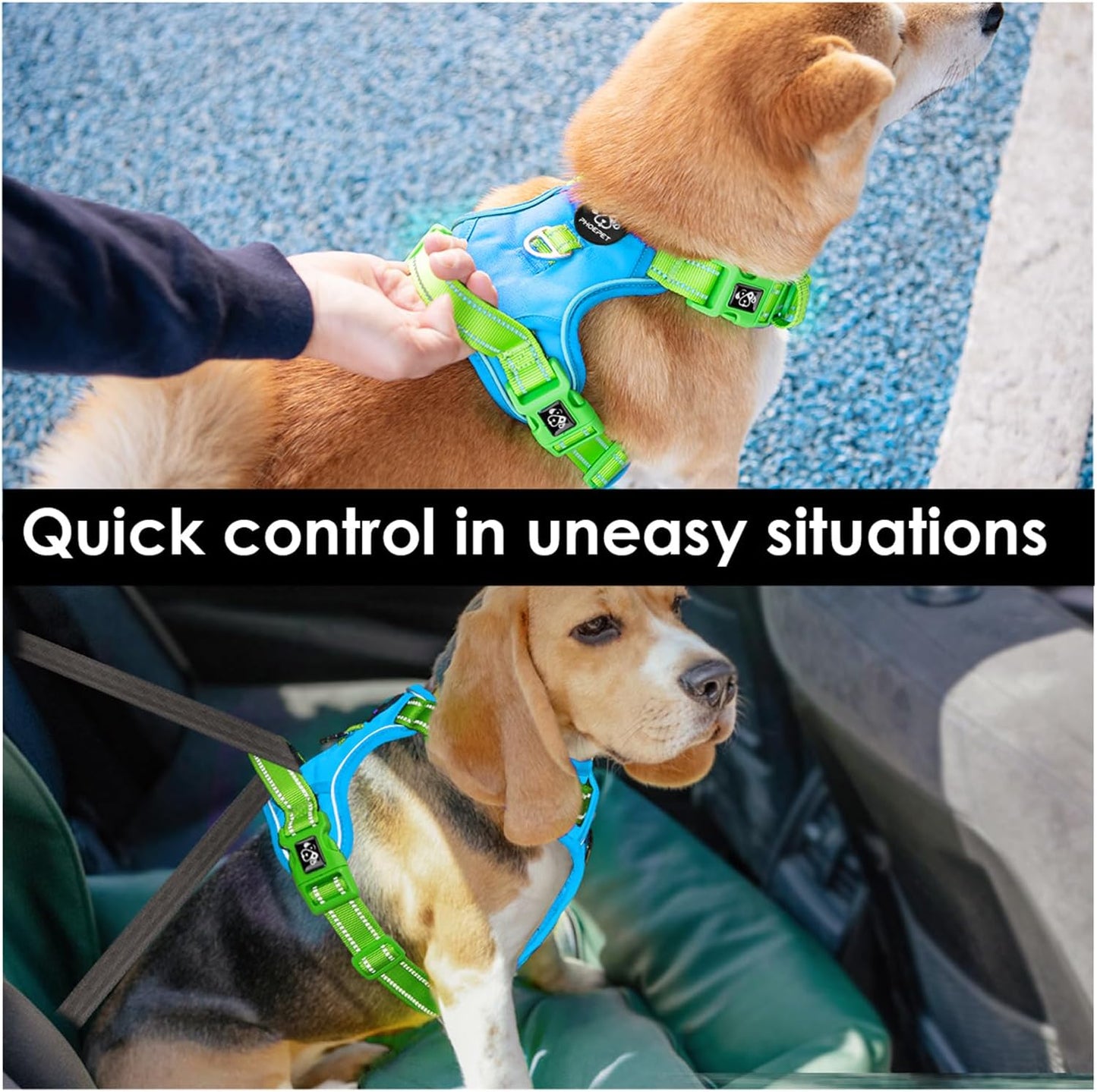 PHOEPET No Pull Dog Harness, Unique Colors Reflective Adjustable Dog Vest, with Soft Training Handle Metal Clips for Small Medium Large Dogs (Blue Base & Green Straps,M)