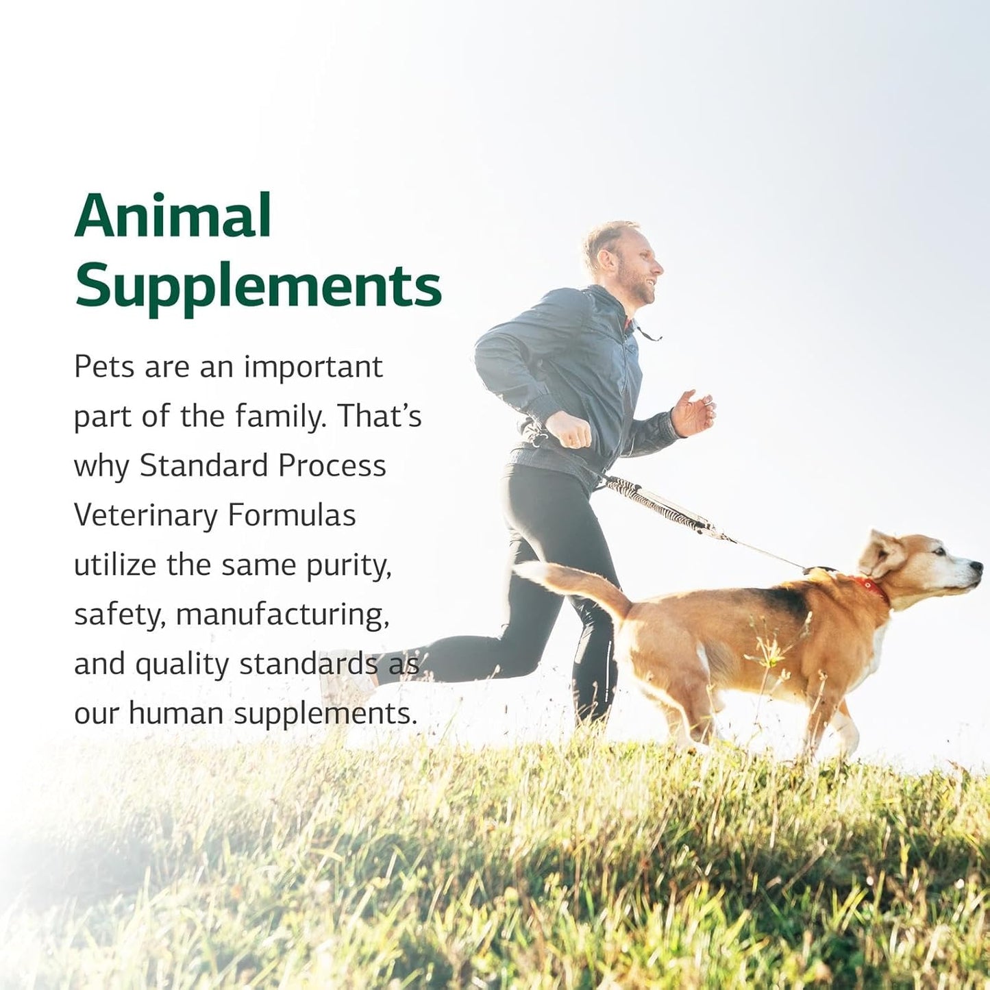Standard Process Mushroom Complex for Dogs & Cats - Immune Support Supplement with Bovine Colostrum - Lion's Mane Extract Powder for Dog & Cat Immune Support - Essential Aid for Pet Health - 2.92 oz