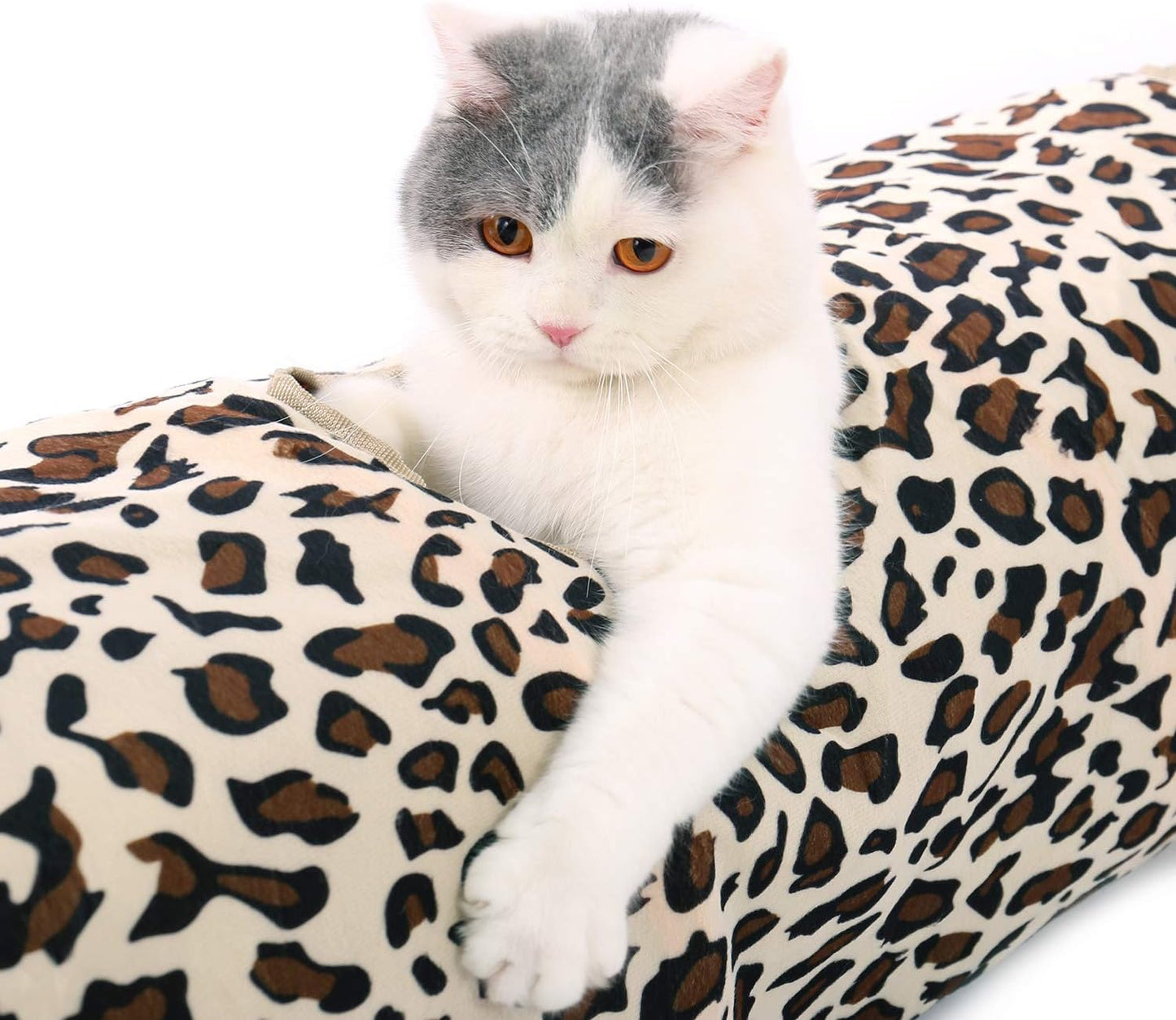 PAWZ Road XL Collapsible Cat Tunnel for Fat Cats & Rabbits - 51"x12" Extra Wide Pet Play Tunnel with 12-Inch Diameter for Large Cats, Small Dogs