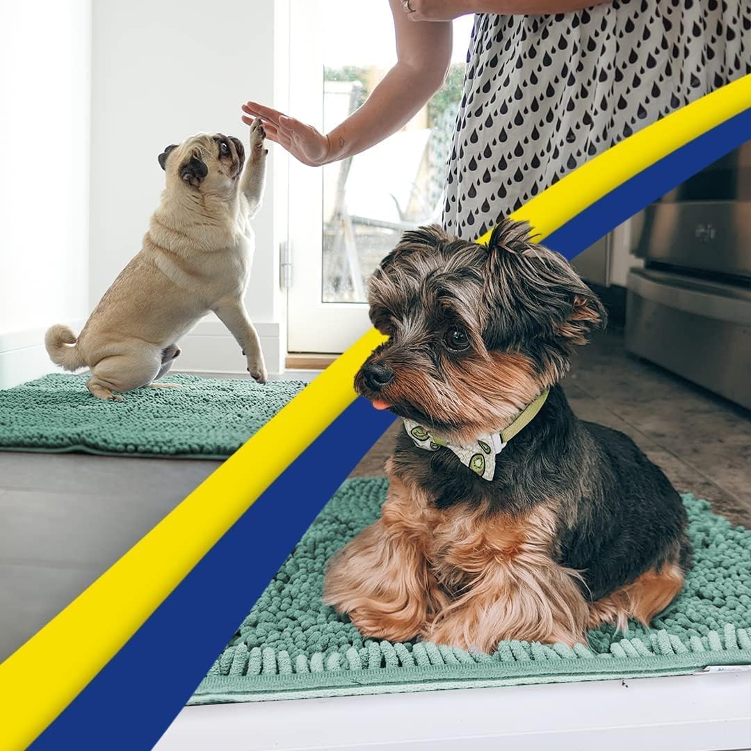 Muddy Mat® AS-SEEN-ON-TV Highly Absorbent Microfiber Door Mat and Pet Rug, Non Slip Thick Washable Area and Bath Mat Soft Chenille for Kitchen Bedroom Indoor and Outdoor - Seafoam Green 24" x 120"