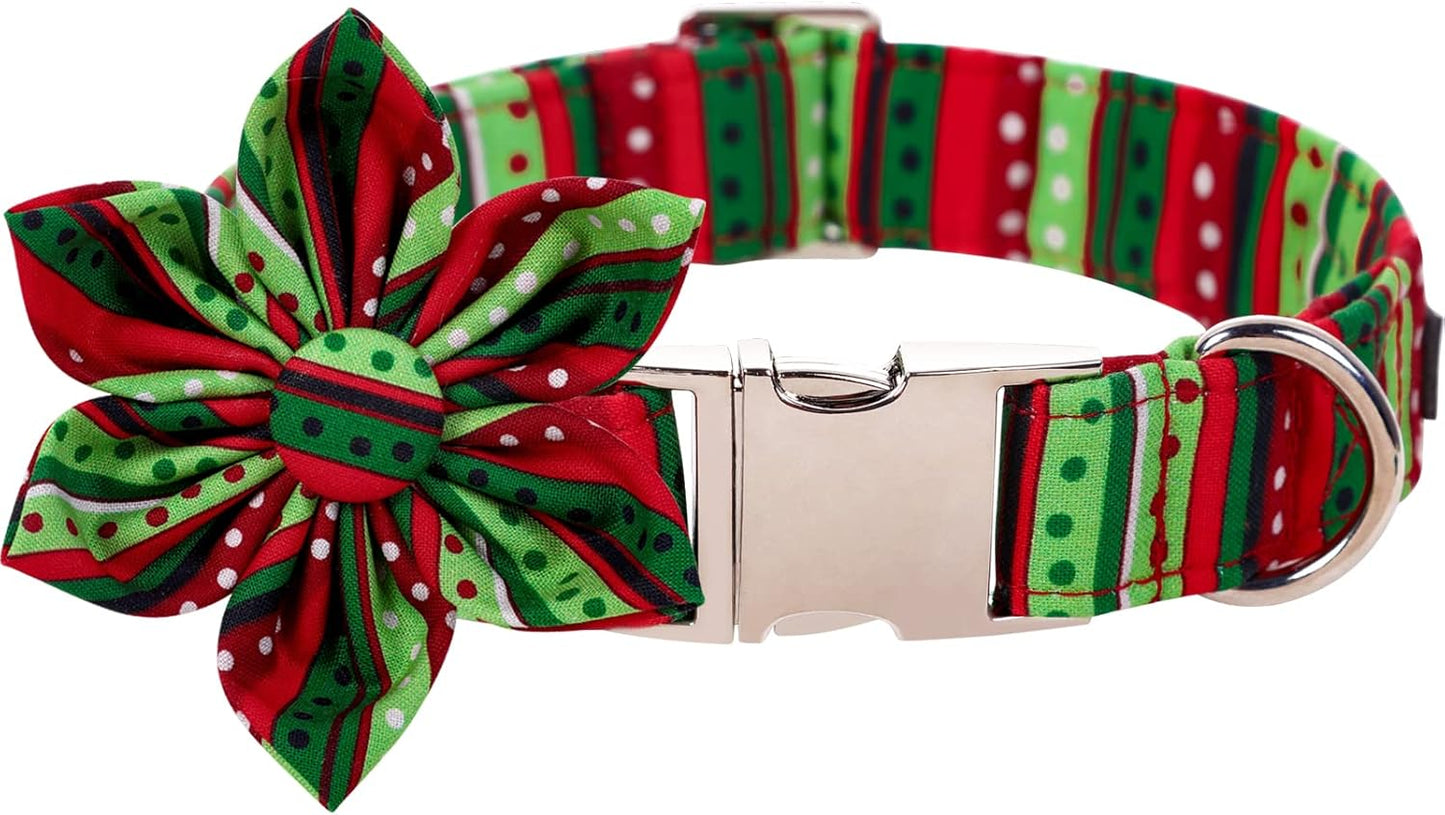 Lionet Paws Christmas Dog Collar with Flower, Dog Flower Collar with Metal Buckle for Dogs, Adjustable Comfortable Dog Collar Girl Gift, M, Neck 13.5-22 in