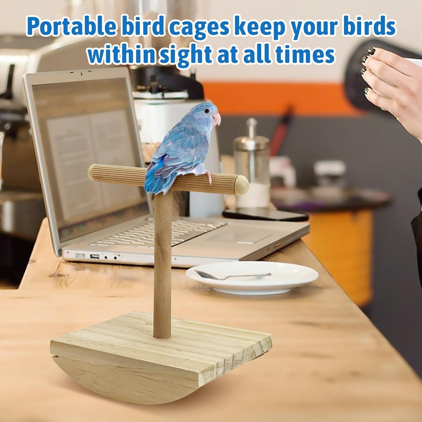 kathson Bird Training Stand Parakeet Playground Bird Perch Stand Portable Tabletop Bird Perch Parrot Stand perches T Shaped Bird Play Stand for Parakeet Conure Lovebird Cockatiel