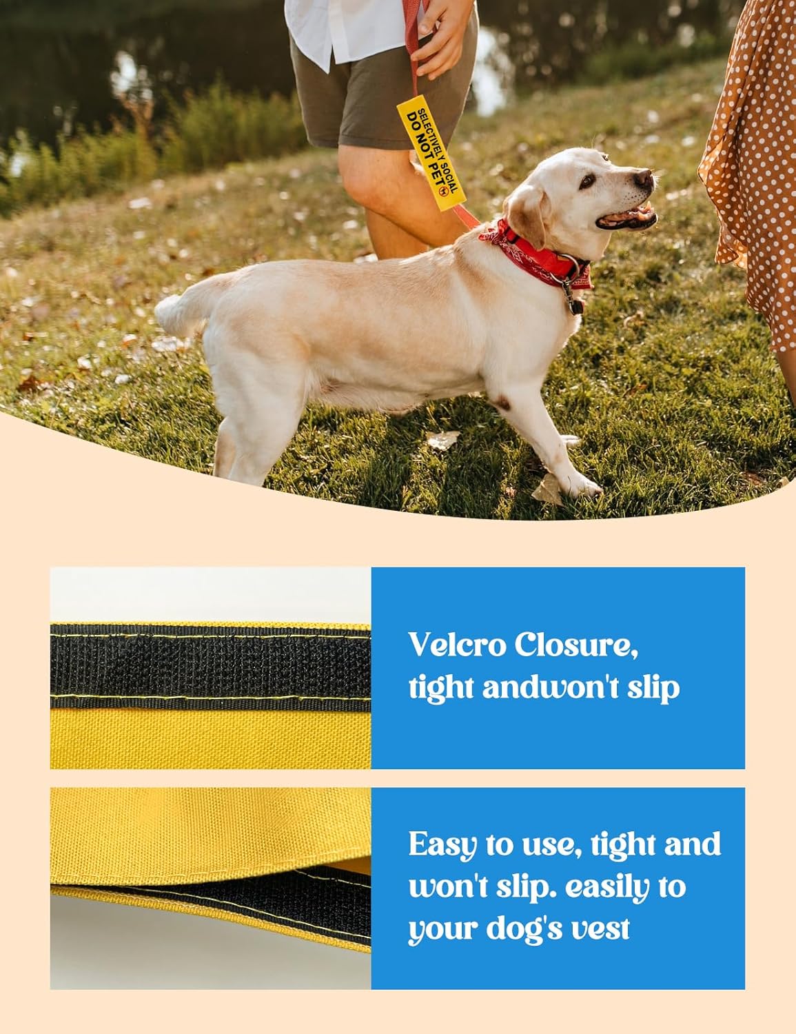 Selectively Social Do Not Pet Dog Leash Sleeve, Funny Yellow Dog Leash Wrap Alert Hanging ID Patch Tag, Do Not Pet Leash Sleeve Service Dog Leash Sleeve Pet Birthday Gifts for Dog Owners
