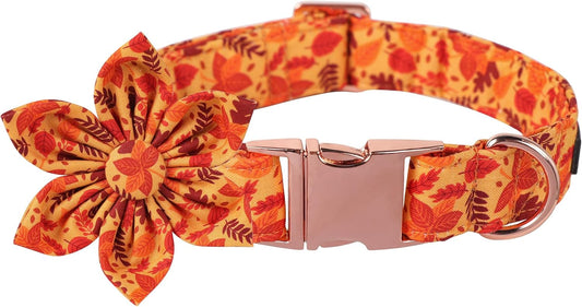 Lionet Paws Dog Collar with Flower - Cute Cotton Adjustable Flower Dog Collar with Metal Buckle for Medium Dog Girl Gift, M, Neck 13.5-22in