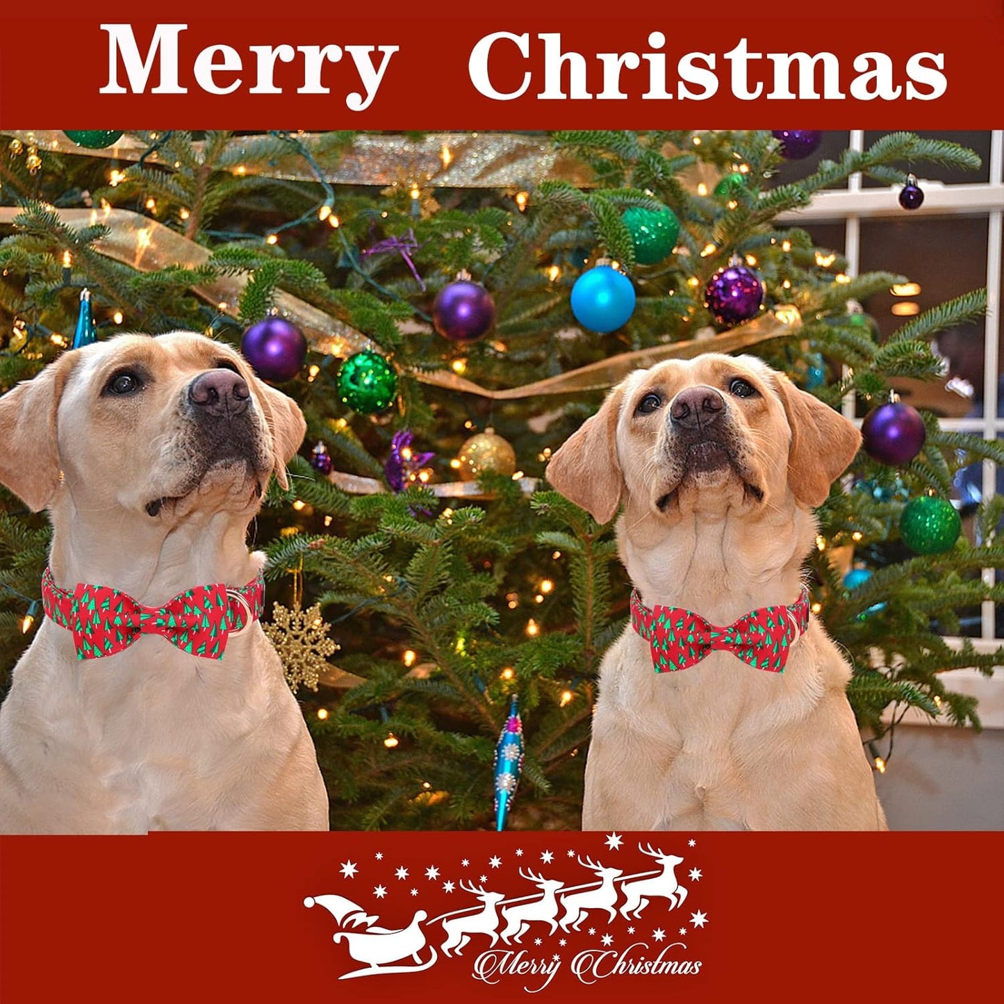 Unique style paws Christmas Dog Collar with Bow Best Winter for Small Medium Large Dogs -Christmas Tree-XL